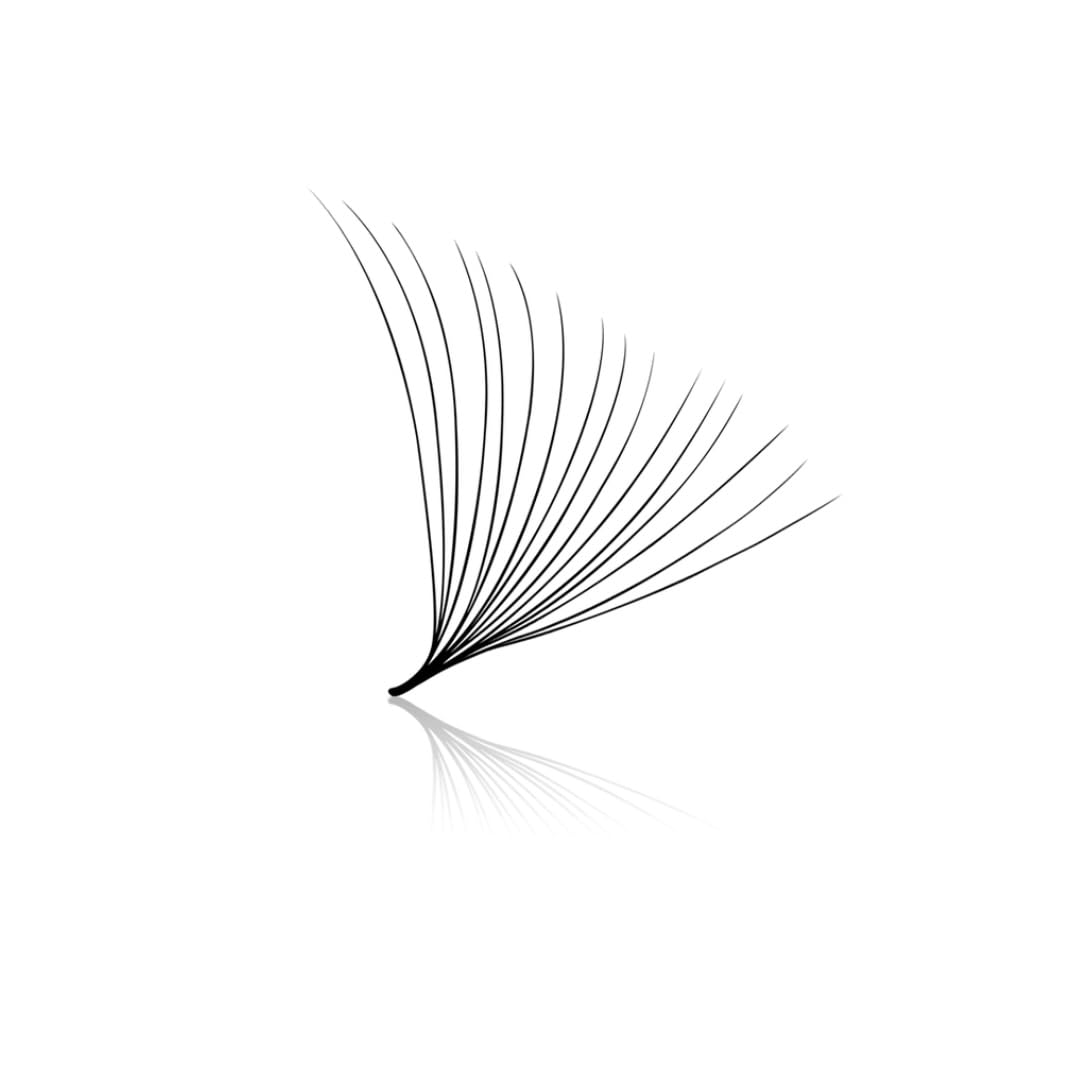 16D Pro-Made Fans 0.03mm Large box