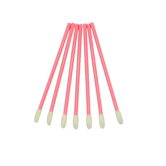 Disposable lip brushes