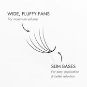 4D Pro-Made Fans 0.07mm Large Box